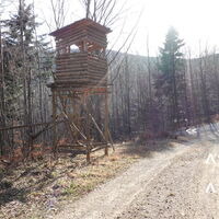 Abstieg, im Kleinmariazeller Forst