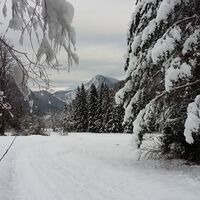 Kurz vor dem Gehöft "Wieser" beim Abstieg von der Dreier Alm