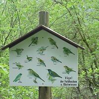 Naturlehrpfad Billafingen