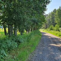 Rundgang um Karhuluoto am Rande des Golfplatzes