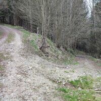 Nach der Bachüberquerung im Aufstieg nach Hareth