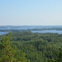 Neitvuori