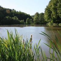 Dörrberger Weiher, Ansicht 2