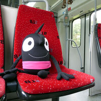Müde, aber glücklich fährt Edgar mit der Lokalbahn nach Hause.