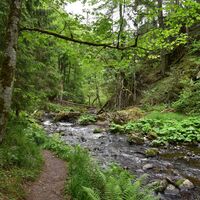 Schlucht