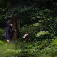 Wanderung in der Donnersbachklamm