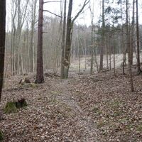 am Weg Richtung Kapelle "Zur Toten Frau"