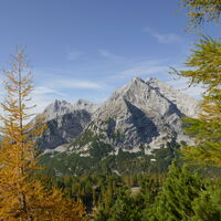 man kann sich nicht satt sehen