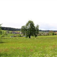 Blick auf Oberkollwangen