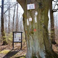 Infostele Fossilien auf dem Geopfad Salzgitter-Lichtenberg
