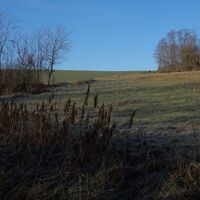 Aufstieg im Krummental