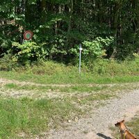 Rechts Abbiegung Schelmenheider Rundweg