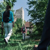 Burgruine Haichenbach