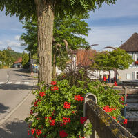 Idyllisches Ortsbild Bisingen