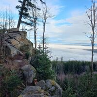 Vysoka Aussicht