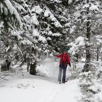 Teufelsteinrunde Schneeschuhwanderung_Fischbach_Oststeiermark