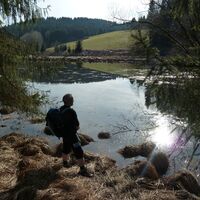 Peilstein - Wesenufer
