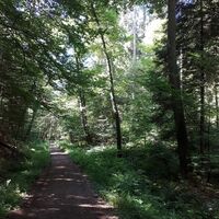 Lauf des Hirtenbachs