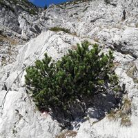 Der Einstieg des Teufelssteigs