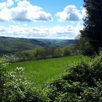 Ausblick am Königsberg bei Wolfstein