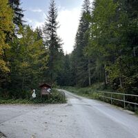 Hier bei den Störchen grad weiter (ab hier ists dann unasphaltiert)