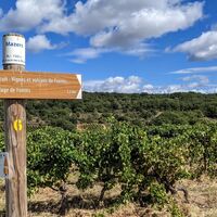 Weinberge und Vulkane von Fontès0010 ©Gilles Delerue - ADT34