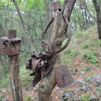 Zeugnisse des Ersten Weltkriegs auf dem Weg in Richtung Dosso Alto