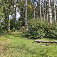 9.5 km Links: Steig auf den Trämpl
