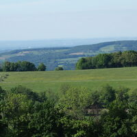 beim Pferdehof Ausblick