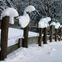 Winterwanderung - Geizenmoos