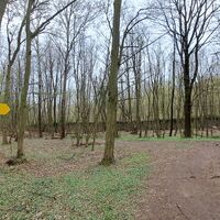 an der Südseite der Klostermauer