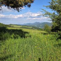 Übergang zum Frankenfelsberg,