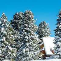 Chalet in der Ortschaft Cermis