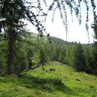 Göriacher Alm und Hochanger