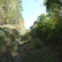 Aufstiegsweg Auberg 363m