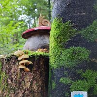 Wichteldorf