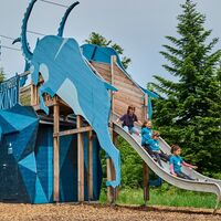 Steinbock Kino Hohe Wand