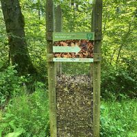 Laubstation Hirschbergsattel