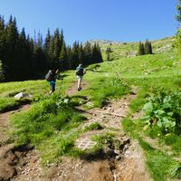 Vitosha, Sofia