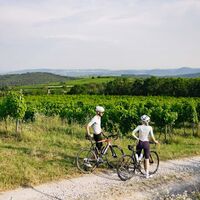 Blick übers Kremstal in Priel