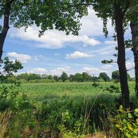 Naturpark Drömling