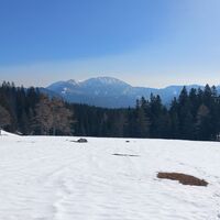 Hohe Veitsch von Vorderen Staritzen