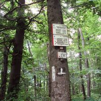 Salzgitter Höhenzug, Wanderweg 30 auf Höhenweg