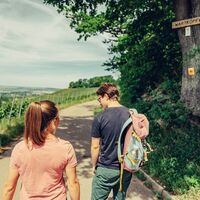 DSGVO SB Beilstein Wartkopf Wandern 07 web