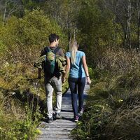 Wandern