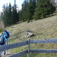 am Weg zum Sonnwendstein