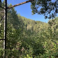 An einem ebenen Plateau mit 'Lost Tennisplaces' vorbei (evtl waren das die von denen Doderer in der 'Strudlhofstiege' schreibt?