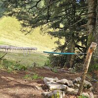 10.0 km Rechts über Wiese zur Schaumbergalm