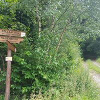 Wegweiser zum Lüsswaldsattel