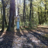 am Aufstiegsweg Auberg 363m
